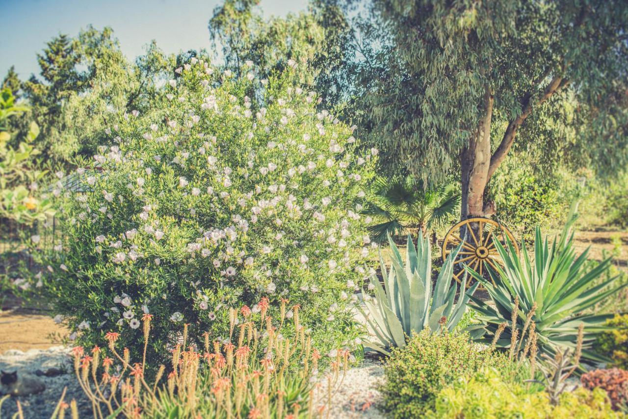 Finca El Limonar 알로라 외부 사진