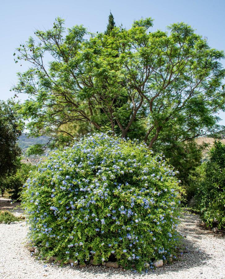 Finca El Limonar 알로라 외부 사진